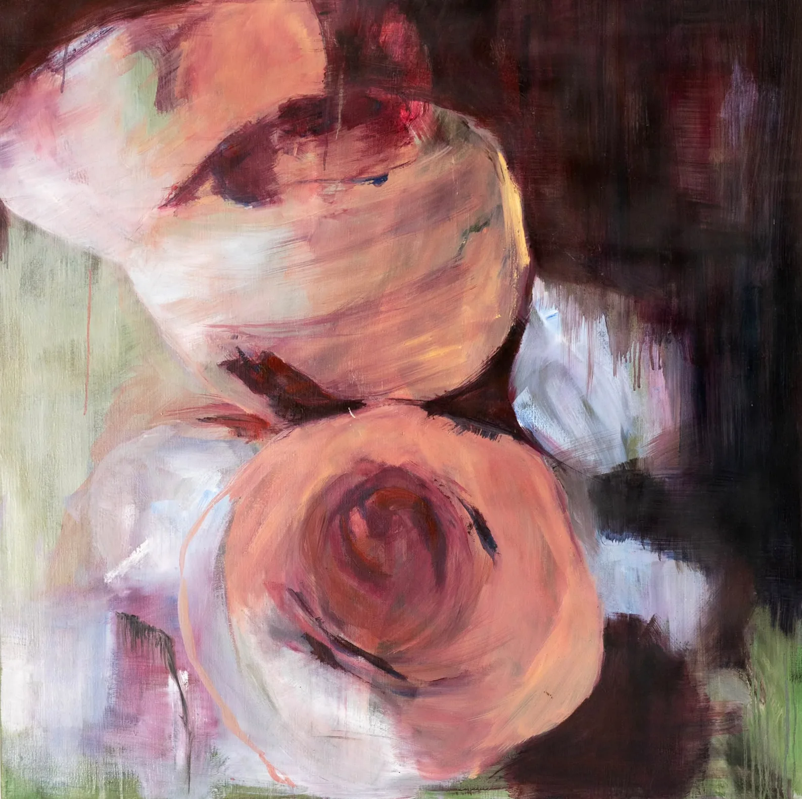Rozen: grote roze rozen tegen een donkere achtergrond.